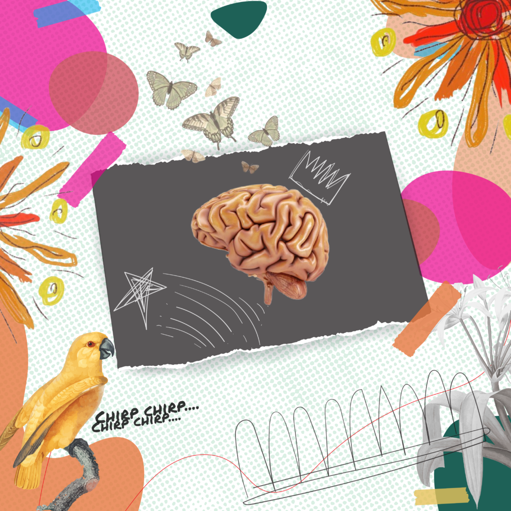 A vibrant collage featuring a central brain on black paper, surrounded by butterflies, a yellow parrot and abstract shapes.